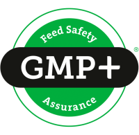 gmp+