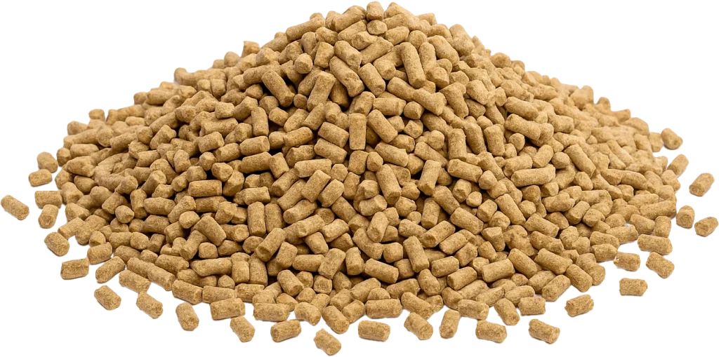 render-pienso02